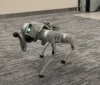 Skild AI rivoluziona l'intelligenza artificiale con un cervello universale per Robot