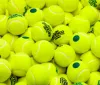 Tokyo accoglie il quarto giorno del Torneo ATP-500