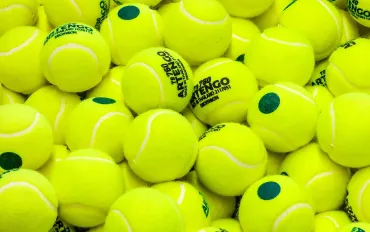 Tokyo accoglie il quarto giorno del Torneo ATP-500