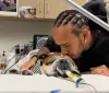 Roscoe non ce l'ha fatta. Addio al cane di Hamilton