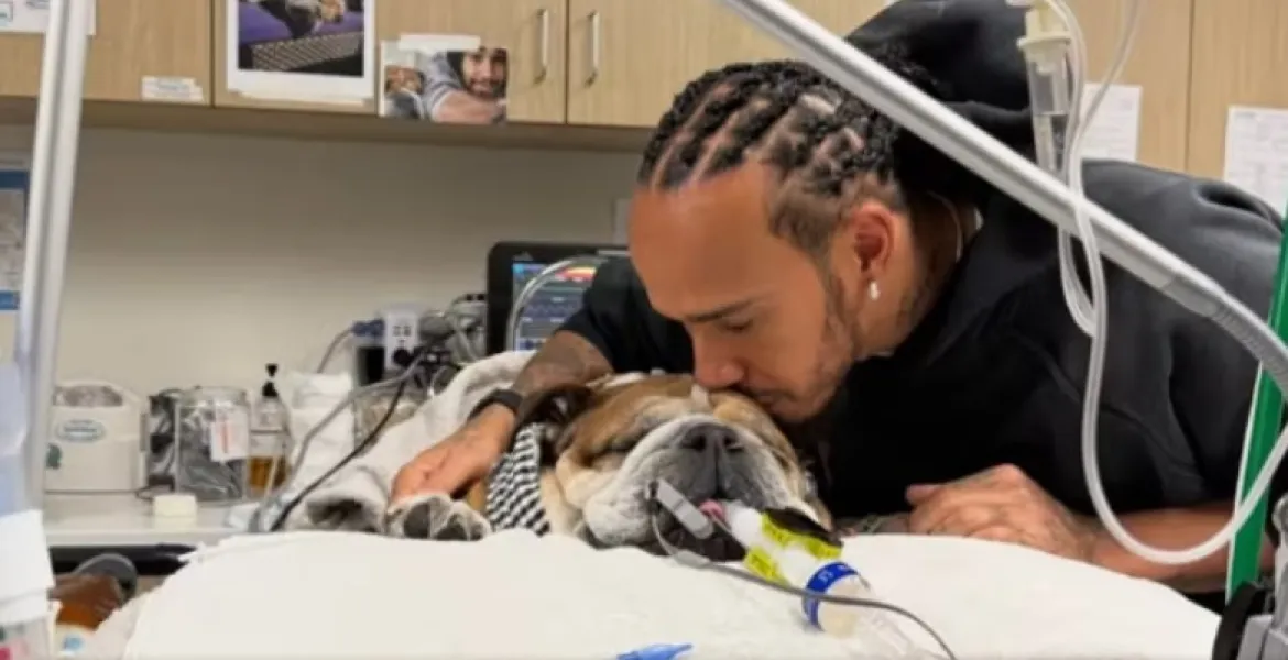 Roscoe non ce l'ha fatta. Addio al cane di Hamilton