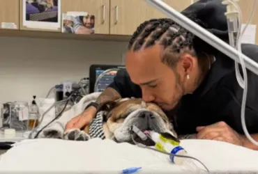 Roscoe non ce l'ha fatta. Addio al cane di Hamilton