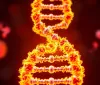 Rivoluzione nel calcolo: DNA-Computer alimentato dal calore