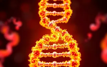 Rivoluzione nel calcolo: DNA-Computer alimentato dal calore