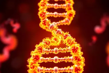 Rivoluzione nel calcolo: DNA-Computer alimentato dal calore
