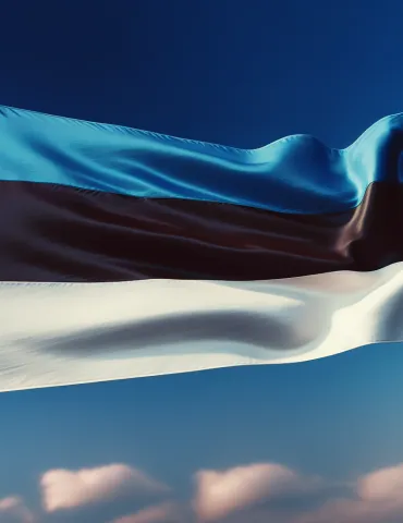 Estonia: La sfida del gioco d'azzardo online tra aspettative e rallentamenti