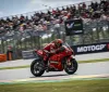 MotoGP: Bulega sostituirà Marquez a Portimao? Ducati valuta il debutto