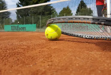 Il campione di tennis. Sinner su Ferrari con Leclerc