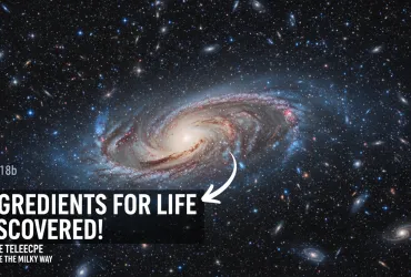 Scoperti 'ingredienti per la vita' fuori dalla Via Lattea grazie al telescopio Webb