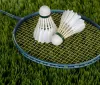 Scandalo nel badminton: Joachim Persson squalificato per scommesse illegali