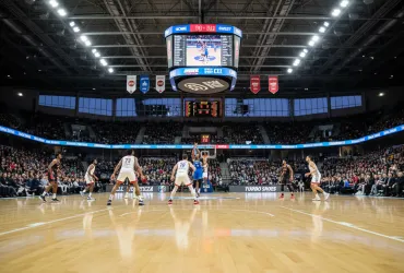 Serie A Basket: Brescia e Virtus Bologna dominano, Milano si risolleva!