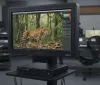 Sony rivoluziona il gaming: Monitor con ricarica DualSense integrata!