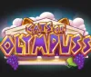 Push Gaming lancia la Cats of Olympuss