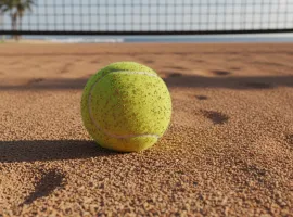 Coppa Davis: Alcaraz nel mirino delle critiche come Sinner