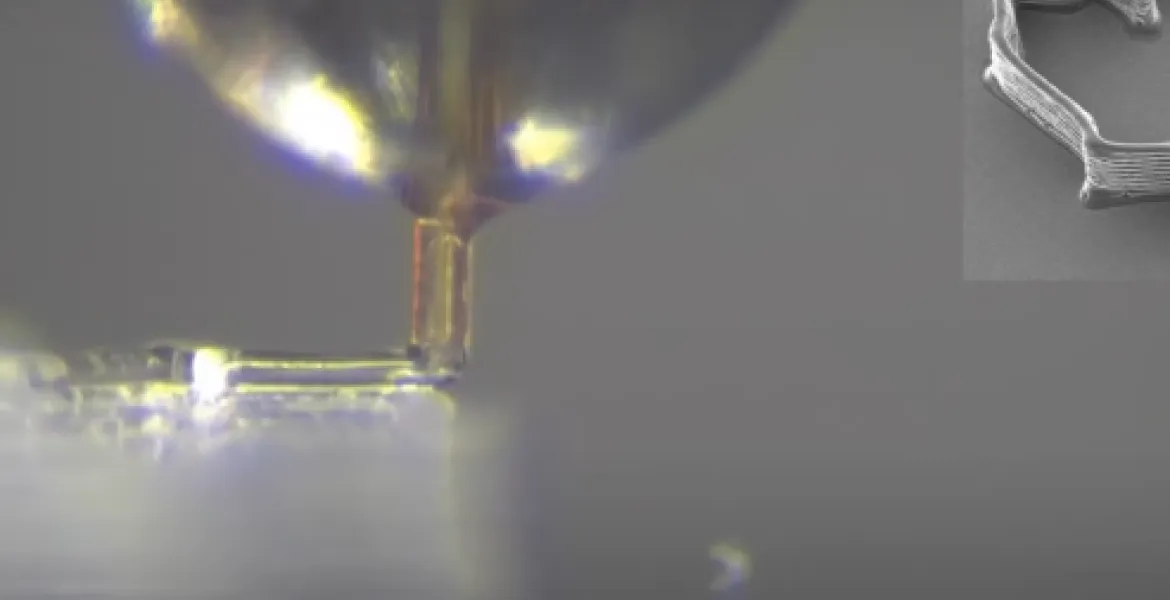 Stampa 3D di precisione? Gli scienziati guardano al pungiglione della zanzara