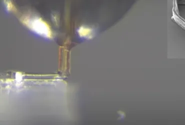 Stampa 3D di precisione? Gli scienziati guardano al pungiglione della zanzara