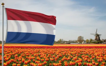 ComeOn Casino multata: Violati obblighi di tutela giocatori in Olanda