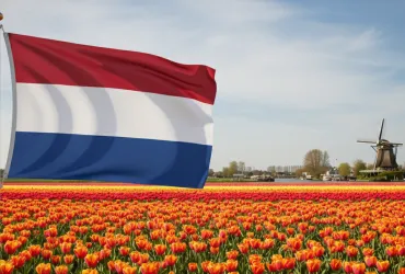 ComeOn Casino multata: Violati obblighi di tutela giocatori in Olanda