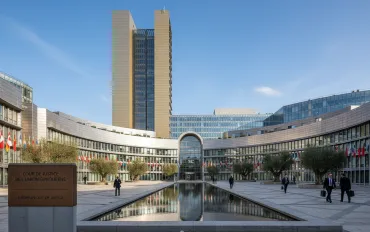 Giocatore online perde e chiede i danni: la Cassazione UE apre la strada al risarcimento