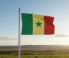Senegal trionfa: Conquista la Coppa d'Africa 2026 in un finale incandescente!