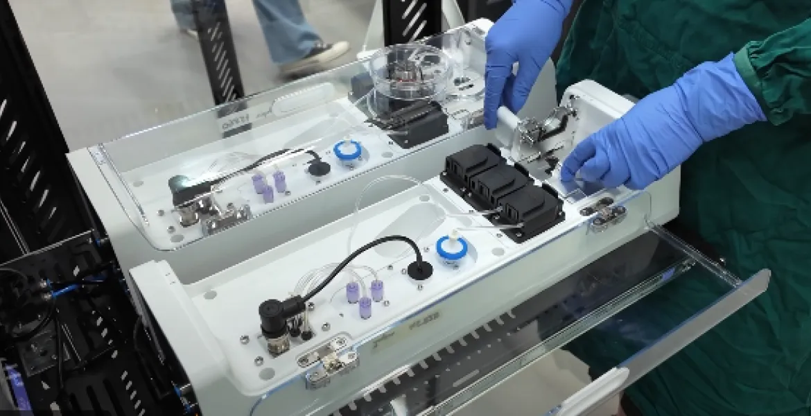 Il cervello umano gioca a DOOM: Rivoluzione nel calcolo biologico