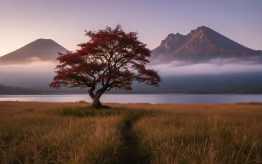 Sony riconsidera la strategia PC: Addio ai porting di esclusive PlayStation