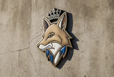 Leicester City: dal Sogno Premier al Baratro della League One