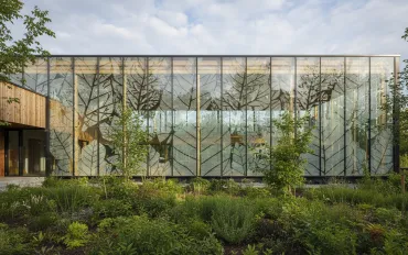 Pannelli solari invisibili: la rivoluzione del Fraunhofer ISE che imita la natura