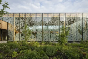 Pannelli solari invisibili: la rivoluzione del Fraunhofer ISE che imita la natura