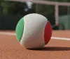 Italia da record a Parigi: Cobolli, Berrettini e Arnaldi volano agli ottavi