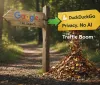 DuckDuckGo sfida il dominio di Google: boom di traffico per la ricerca senza intelligenza artificiale