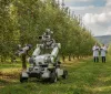Rivoluzione hi-tech nei frutteti: il robot che analizza la salute delle piante