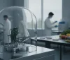 Il naso elettronico di Berkeley: la nuova frontiera tecnologica per la sicurezza alimentare globale