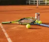 Wimbledon 2026: Disfatta Italiana all'esordio con Darderi e Cocciaretto