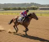 Frankie Dettori, paura a Newmarket: il leggendario fantino coinvolto in un grave incidente stradale