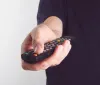 Bisseck, ma che fai? Rischio prova tv 