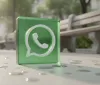 WhatsApp si rinnova: temi animati e personalizzazione per le chat