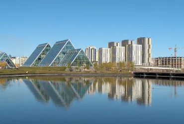 Declino degli Casinò in Kazakistan tra Tasse e Concorrenza