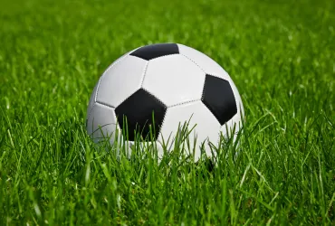 Torino e Venezia si annullano, termina 1-1 nella 35a giornata di Serie A