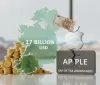 Apple versa 17 miliardi di dollari all'Irlanda: si chiude l'era dei vantaggi fiscali