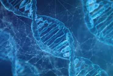 Scoperta Molecola Organica con Elevata Conduttività