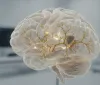 Nanoantenne d'oro nel cervello: la rivoluzione della Delft University per vedere la vita in tempo reale