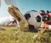 Kvaratskhelia raggiunge la finale di Champions League col PSG