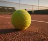 Il ritorno di Juan Carlos Ferrero nel 2027: tra il sogno Sinner e l’erede Jódar