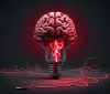 Gli Scienziati Smentiscono i Miti sui Due Emisferi Cerebrali