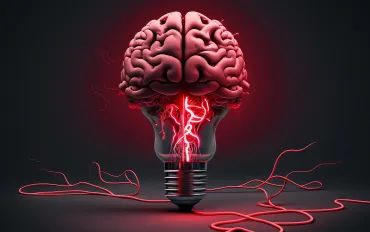 Gli Scienziati Smentiscono i Miti sui Due Emisferi Cerebrali