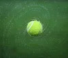 Tommy Paul: la promessa del tennis e la fede biancoceleste