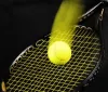 Duello Tricolore: Cobolli e Arnaldi si sfideranno al Roland Garros