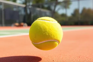 Jannik Sinner sfida Carlos Alcaraz: l'epica finale del Roland Garros 2025