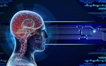 Amazon e intelligenza artificiale: Cambiamenti in vista per il mercato del lavoro